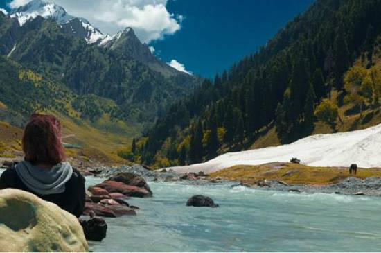 Paradise Kashmir Package